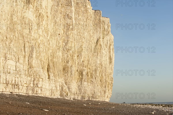 Chalk cliffs and beach on the coast