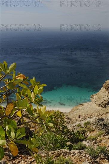 View of sea from southern coast clifftop habitat