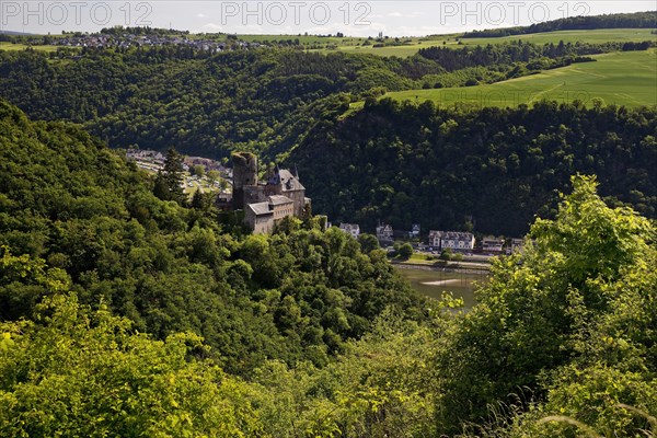 View of the Rhine Valley with Katz Castle