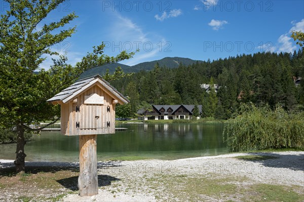 Library on the lake