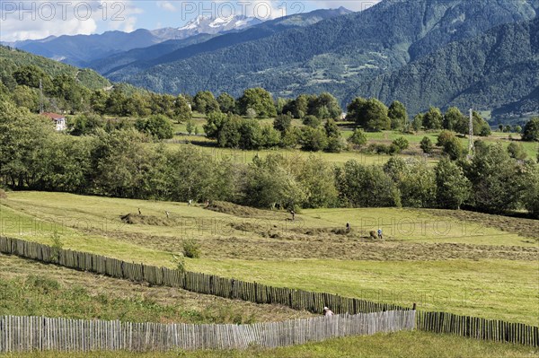 Georgian people at work in the field