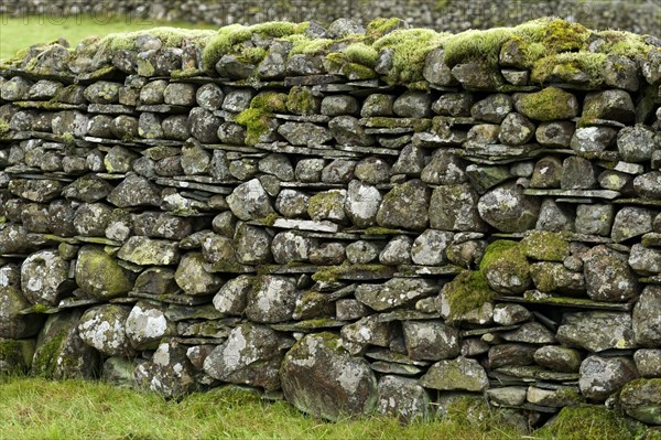 Quarry stone wall