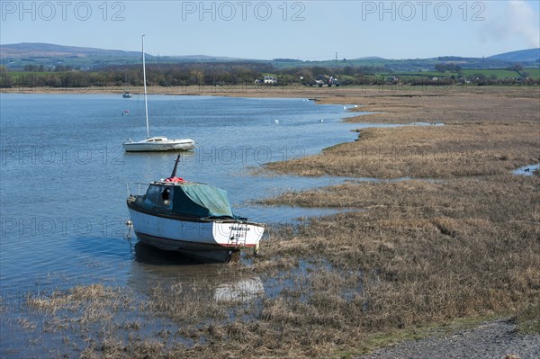 Boats on the river next to wetland habitat