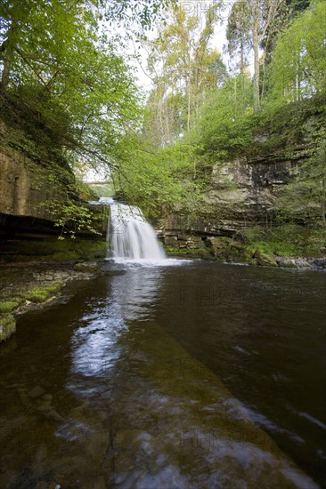 View of waterfall and river