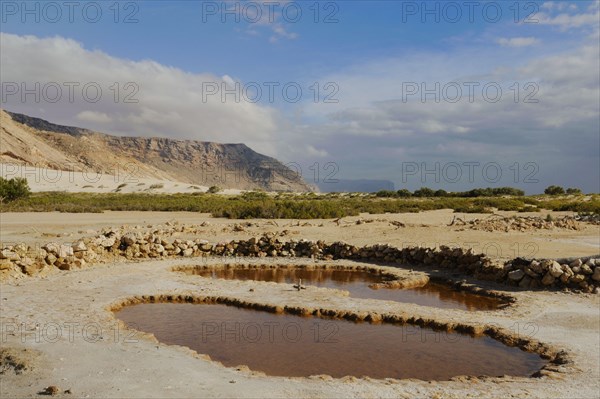 View of the salt basin habitat on the south coast