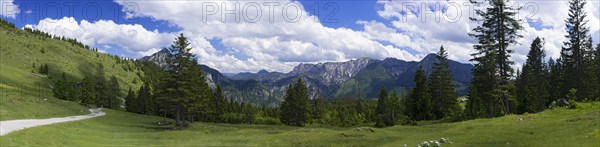 Postalm in the Salzkammergut