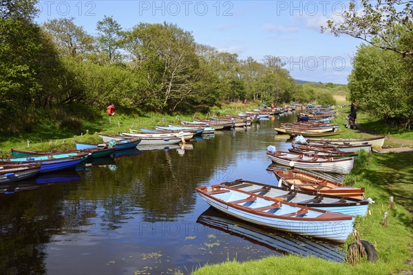 Boats at Ross Castle