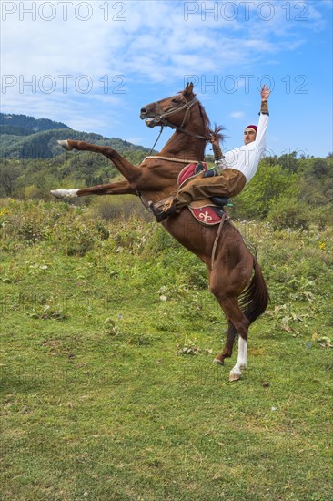 Man on a rearing horse