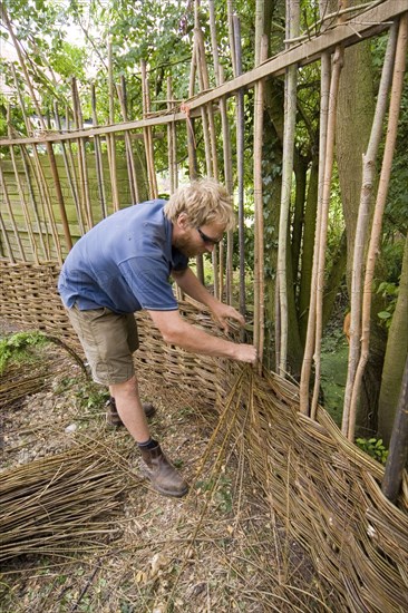 Building a willow garden fence