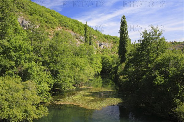 View of quiet river section and gorge