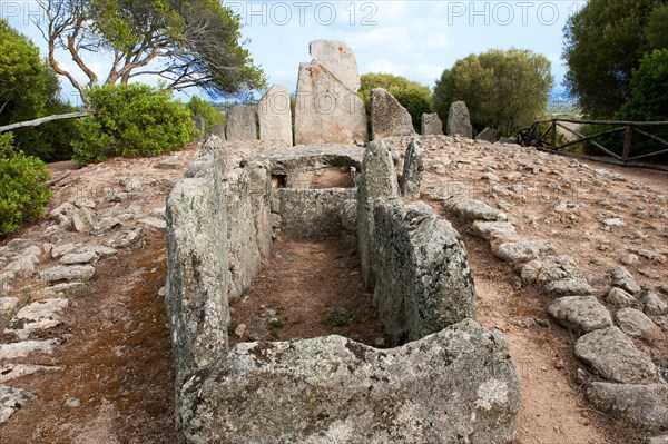 Tomb of the Giants