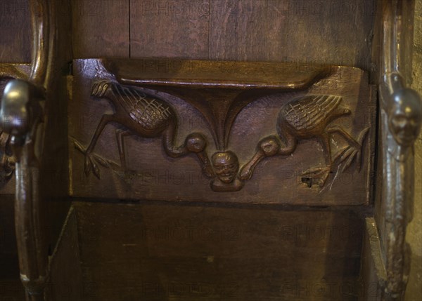 Misericord depicting spoonbills