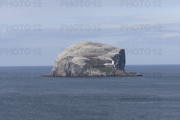 View of volcanic plug island and sea