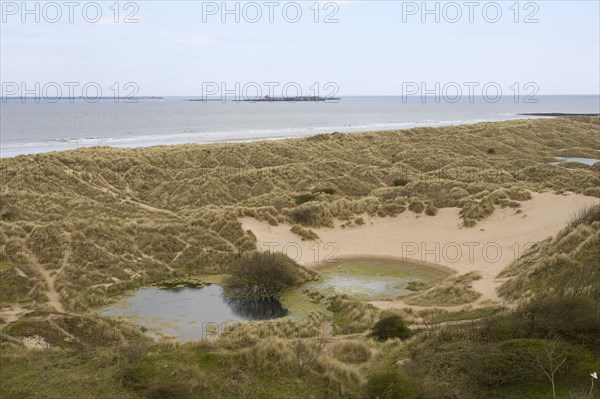 View of coastal sand dune banks with pond