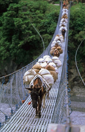 Nepal