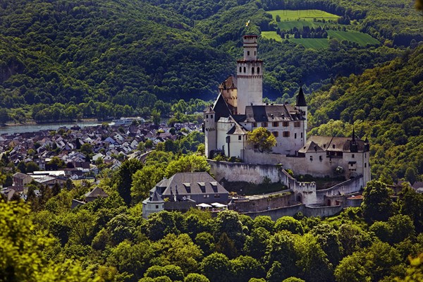 View of the Rhine Valley with Marksburg Castle