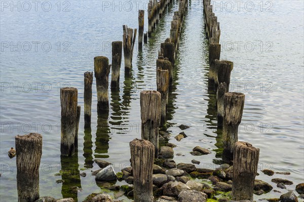 Wooden pillars