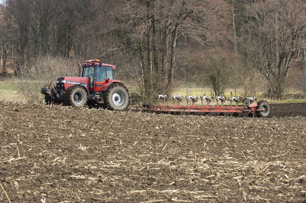 Fall Internationel 7140 tractor pulling Kverneland seven furrow plough