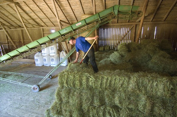 Farmer stacking small bales next to the lift in the barn