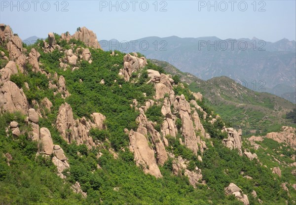 View over rocky scrub habitat on mountainside