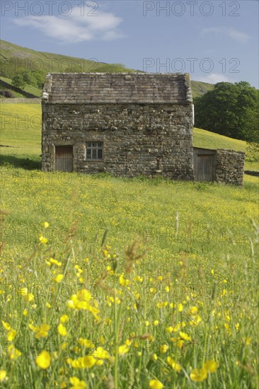 Stone barn in wildflower meadow