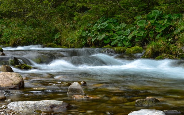 Mountain stream