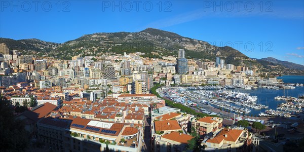Monte Carlo and the Marina