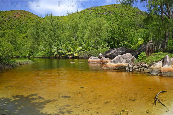 Brackish water lagoon on the beach of Anse Lazio