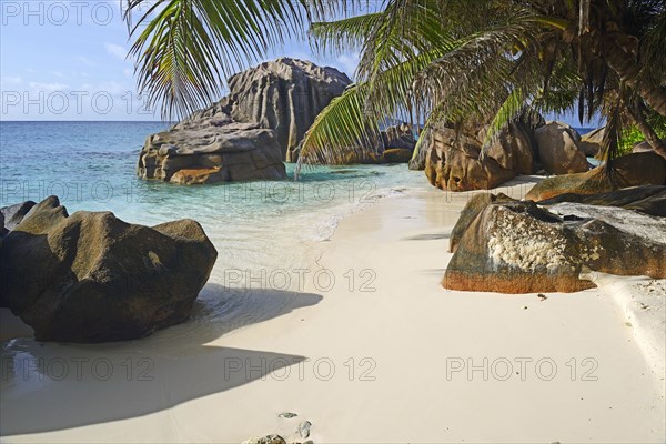 Dream beach Anse Patatas