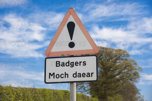 Badger