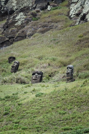 Moais on the flanks of the Rano Raraku volcano