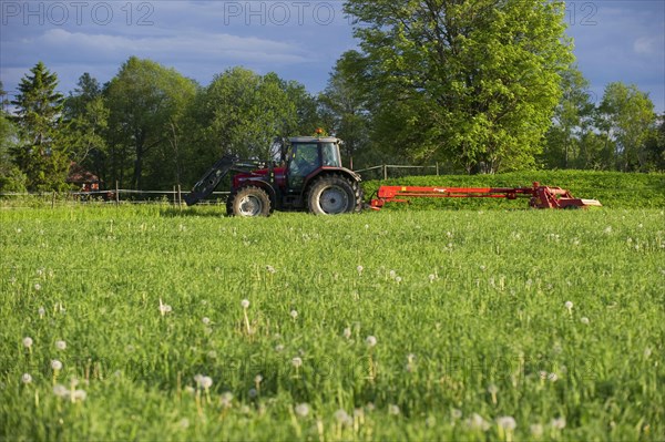 Massey Ferguson tractor with Kverneland mower