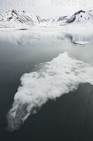 Drift ice near the coast