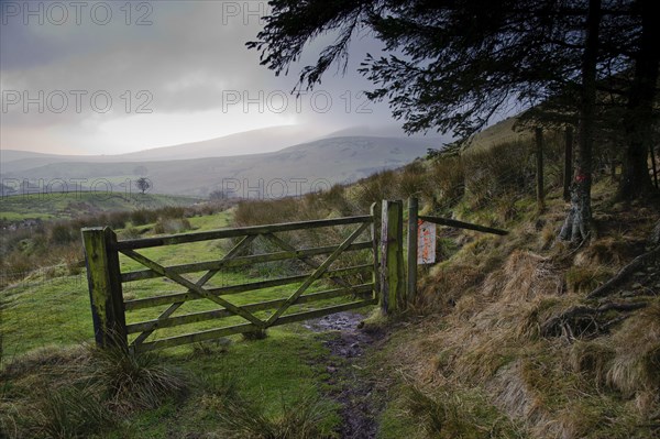 Wooden gate in upland habitat