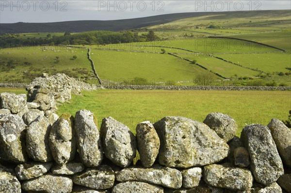 Dry stone walls and pasture in a fertile valley with hilltop moorland habitat