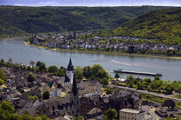 View of the Rhine Valley with Braubach and Spay