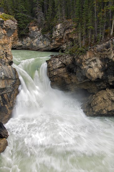 Sunwapta Falls