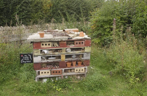 'Bug Hotel' artificial site created for invertebrates