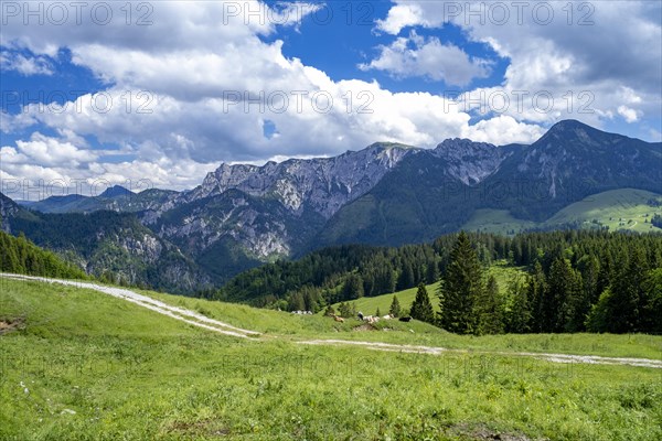 Postalm in the Salzkammergut