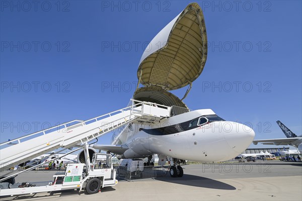 Airbus Beluga XL Transporter