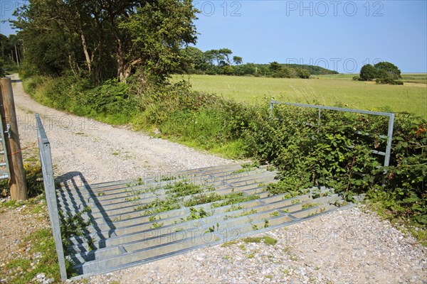 'Cattle grid' on track