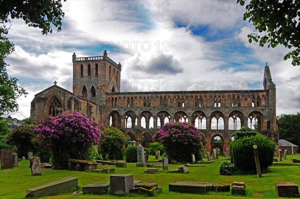 Jedburgh Abbey