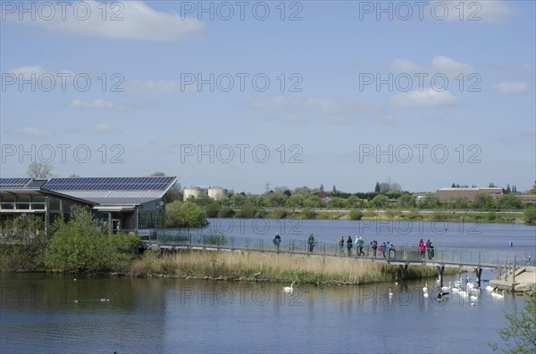 View of flooded former gravel pit habitat