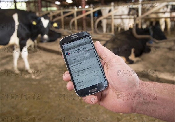 Farm management programme on a smartphone in hand