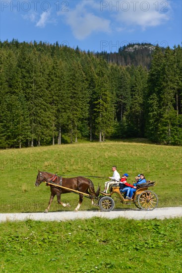 Horse-drawn carriage