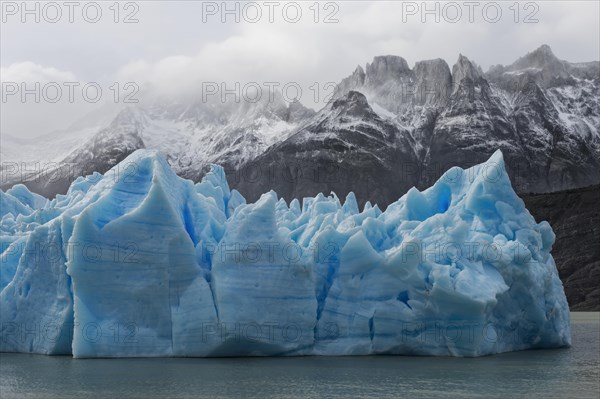 Grey Glacier flowing into the lake