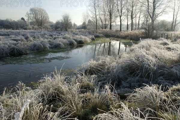 Chalk stream on frosty morning