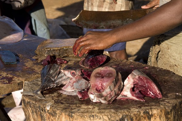 Cutting up fish at the open market in Negombo