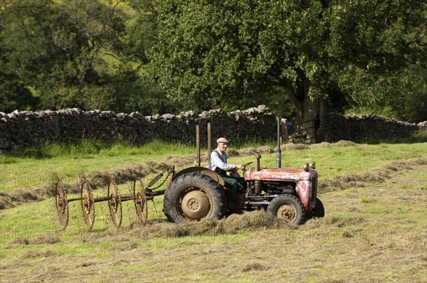 Elderly farmer in old Ferguson tractor with acrobat