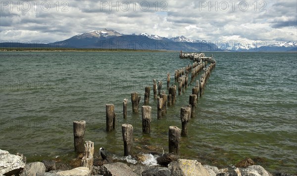 View of the coastline with remains of the breakwater and resting seabirds